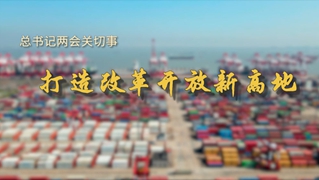 總書記兩會關切事｜打造改革開放新高地